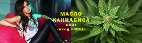 сатива Бронницы