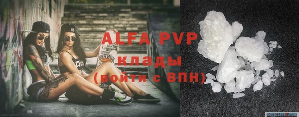 сатива Бронницы