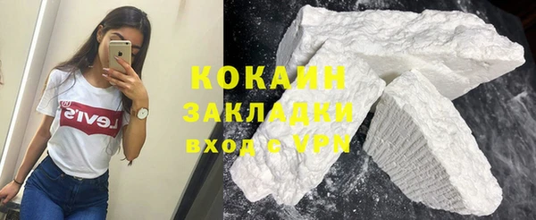 сатива Бронницы