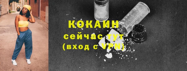 сатива Бронницы