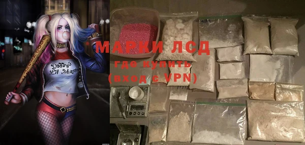 сатива Бронницы