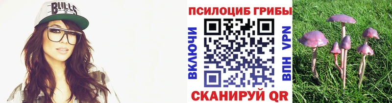 Галлюциногенные грибы Psilocybine cubensis купить наркотик Севастополь